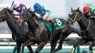 【愛知杯枠順確定】ドロップオブライトは8枠16番、チェルビアットは4枠7番