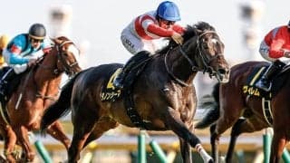 【阪神大賞典枠順確定】ダノンシーマは5枠5番、アドマイヤテラは1枠1番