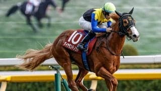 【ファルコンS枠順確定】ダイヤモンドノットは5枠9番、タマモイカロスは8枠17番