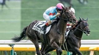 【フラワーC枠順確定】イクシードは4枠8番、アメティスタは7枠13番