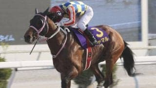 【高知・黒船賞枠順】4連覇がかかるシャマルは8枠12番、6連勝中のオタマジャクシは1枠1番