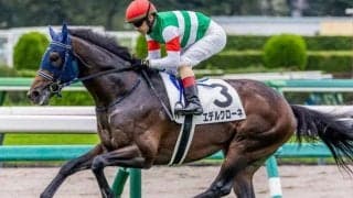 祖母は名牝ブエナビスタ エデルクローネが待望の2勝目なるか