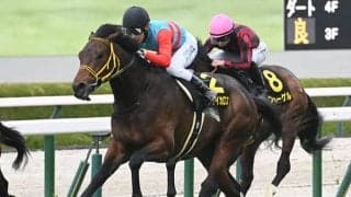 【ファルコンS予想】直近10年は前走1400m、1600m組が中心！ 前走で1200mに出走していた馬の取り扱いには要注意