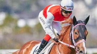 【若葉S】セレクト2億円のショウナンバンライ 2連勝で皐月切符獲得なるか