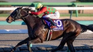 【日経賞想定馬・騎手】コスモキュランダ、ミステリーウェイなど16頭