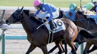 ファルコンSはハイペース必至 タイセイアストロが好配提供だ