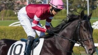 半兄は17年2歳王者のダノンプレミアム 「ウマ娘」藤田晋オーナーのドンテスタマスターが初勝利なるか