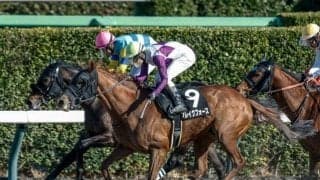 【マーチS想定馬・騎手】ブレイクフォース、サンデーファンデーなど22頭