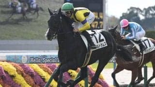 【毎日杯想定馬・騎手】アルトラムス、カフジエメンタールなど11頭