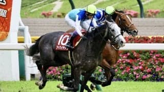 【武豊日記】全力投球で頑張ります