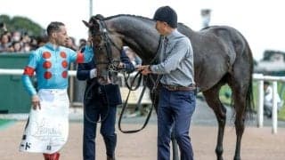 【今日の注目ポイント】中山でフラワーCと中京でファルコンS