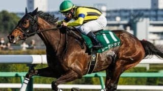 フラワーCはキズナ産駒が好相性 複勝率67%をマークする注目の前走クラスとは