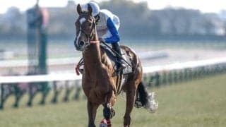 【フラワーC予想】桜花賞やオークスとは求められる適性が異なる 器用さや立ち回りのうまさが不可欠