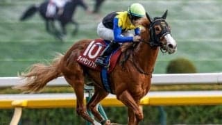 【ファルコンS予想】過去10年で1番人気が未勝利 NHKマイルCの前哨戦は難解