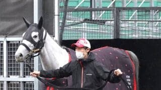 【阪神大賞典】スタミナ自慢の牝馬アクアヴァーナルがここでも好勝負に　陣営「今は堂々としています」