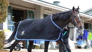 【阪神大賞典】絶好の出来で挑むマイネルエンペラーが一発狙う　陣営「状態はめちゃめちゃいいです」