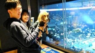 愛犬と一緒にバレーボール観戦　SVリーグで初の試み　佐賀