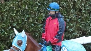 【阪神大賞典】障害練習の効果でメイショウブレゲが変わる　本田調教師「何かいい効果があればと思って」