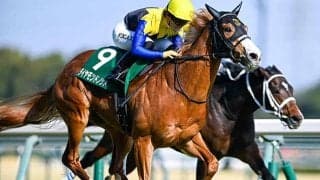 【ファルコンS結果】ダイヤモンドノットが断然人気に応えて重賞2勝目！