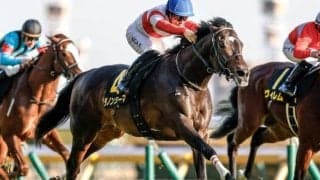 【阪神大賞典予想】前走の距離に顕著な傾向あり！ 過去傾向や血統から全幅の信頼を置けない人気馬