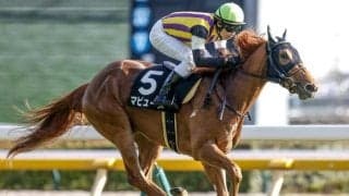 【愛知杯予想】スタートからスピード負けしないことが好走条件!? 前走内容に気がかりな点がある人気馬とは