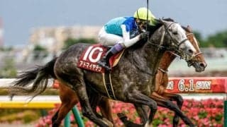 【阪神大賞典前日オッズ】アドマイヤテラが2.9倍で1番人気