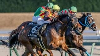 中京芝は脚質×血統でピックアップ 愛知杯はレディマリオンで好配ゲットだ