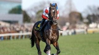 【AI予想・阪神大賞典】天皇賞(春)の前哨戦は実力通りに決まりやすい!? 長距離界の新星誕生に期待を寄せる人工知能