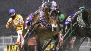 重賞26勝メムロボブサップの貫禄か、昨年2着のコマサンエースがリベンジか 日曜は大一番ばんえい記念