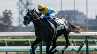 【中山6R】レイデオロ産駒 スペルーチェが断然の支持に応える