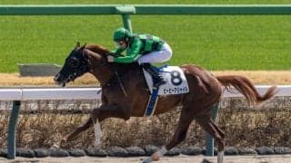 【中山4R】単勝1.3倍ビービーアジャイルが5馬身差圧勝