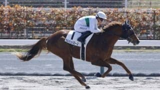 【中京3R】単勝1.5倍セルジュバローズが断然の支持に応える