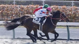 【中京1R】単勝1.1倍コルヴァスが人気に応える