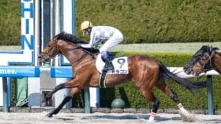 【阪神8R】武豊ドラゴンが人気に応える