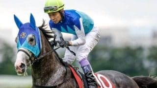 【今日の注目ポイント】阪神で阪神大賞典と中京で愛知杯