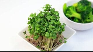 ブロッコリースプラウトの効果を解説。何に効く？どこまで期待できる？
