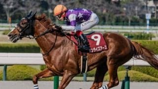 阪神大賞典は上位人気が優勢 上がりの脚に注目