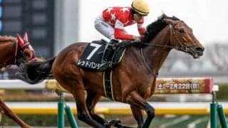 【阪神大賞典予想】上がり上位馬が良績残す 長距離戦とあってスタミナが最重要