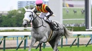 【阪神大賞典予想】今年も狙える上位パターンとは？ 過去データから探るGII阪神大賞典