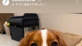 大谷翔平、愛犬デコピンの最新ショットを公開　キュンとなるカメラ目線…開幕前に“近況報告”