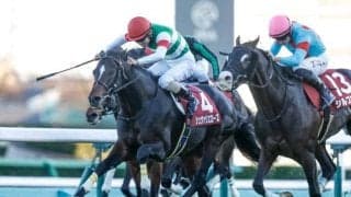 阪神大賞典は渋太く脚を使える馬に注目 穴はシュヴァリエローズだ