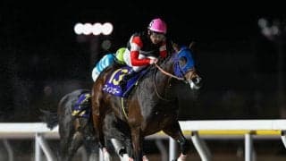 【大井・京浜盃枠順】ブルーバードC覇者フィンガーは1枠1番 中央4頭＆地方3頭の7頭立て