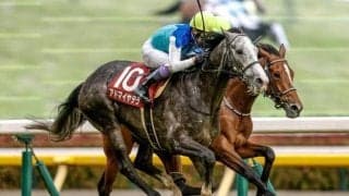 【阪神大賞典・馬体重】アドマイヤテラは504kg(+6)、ダノンシーマは492kg(-2)