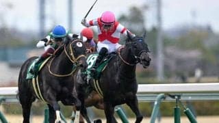 【JRA・WIN5】本日のWIN5は的中110票、配当525万6900円