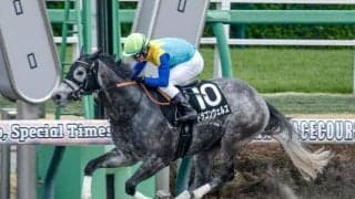 【千葉S結果】ドラゴンウェルズが好位から抜け出し2連勝