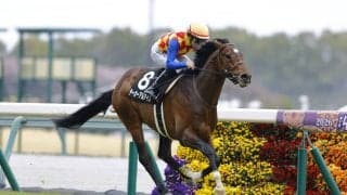 【フローラルウォーク賞】8番人気テーオーアルアインが最内強襲、鮮やかV