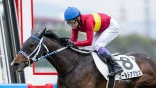 【阪神4R】武豊騎乗ゴールドアクセスが人気に応える