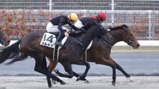 【中京12R】今村聖奈が1日2勝…シルフズミスチーフで接戦を制す