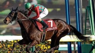 【日経賞】コスモキュランダ、ミステリーウェイなどが登録