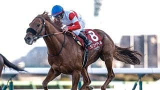 【大阪杯】ダノンデサイル、クロワデュノールなどが登録